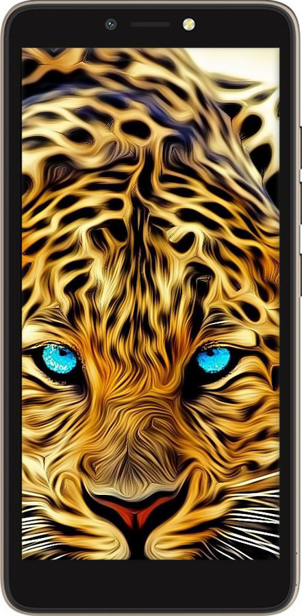 TPU чехол Леопард для Tecno Pop 2F B1F - 6611b-2391 изображение 