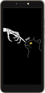 Силіконовий чехол Кішка для Tecno Pop 2F B1F - 6505u-2391 изображение 