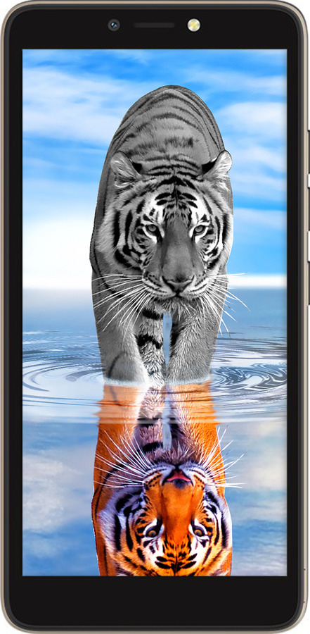 Силиконовый чехол Тигр для Tecno Pop 2F B1F - 6016u-2391 изображение 
