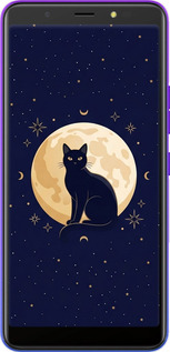 Силиконовый чехол Cute Cat Celestial/Witchy для Tecno Pop 4 BC2c - 6787u-2427 изображение 