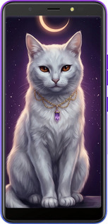 Силиконовый чехол Mystic White Cat Gothic Dark Purple Gold для Tecno Pop 4 BC2c - 6805u-2427 изображение 