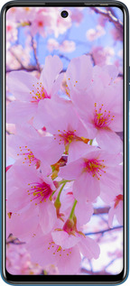 Силіконовий чехол Сакура для Tecno Pova 2 - 6029u-2649 изображение 