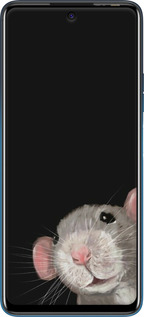 Силіконовий чехол The Peeking Rat для Tecno Pova 2 - 6442u-2649 изображение 