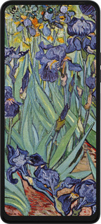 Силиконовый чехол Винсент Ван Гог. Ирисы для Tecno Pova 5 - 161u-3139 изображение 