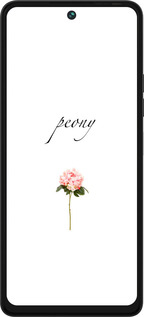 Силиконовый чехол Пион для Tecno Pova 5 - 4366u-3139 изображение 