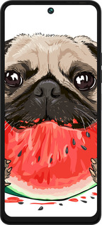 Силіконовий чехол Мопс і кавун для Tecno Pova 5 - 4665u-3139 изображение 