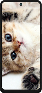 Силиконовый чехол Котик для Tecno Pova 5 - 6024u-3139 изображение 