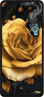 Силиконовый чехол Black snake and golden rose для Tecno Pova 5 - 6068u-3139 изображение 