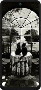 Силиконовый чехол Череп и коты для Tecno Pova 5 - 6432u-3139 изображение 