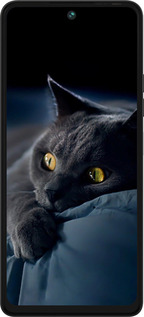 Силіконовий чехол Димчастий кіт для Tecno Pova 5 - 825u-3139 изображение 