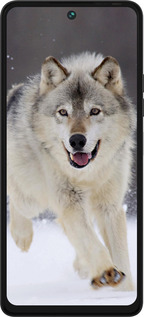 Силиконовый чехол Бегущий волк для Tecno Pova 5 - 826u-3139 изображение 