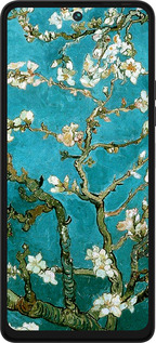 Силиконовый чехол Винсент Ван Гог. Сакура для Tecno Pova 5 - 841u-3139 изображение 