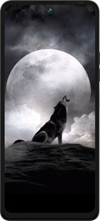 Силиконовый чехол Воющий волк для Tecno Pova 5 - 934u-3139 изображение 