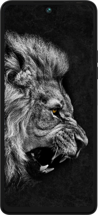 Силиконовый чехол Лев для Tecno Pova 5 - 1080u-3139 изображение 