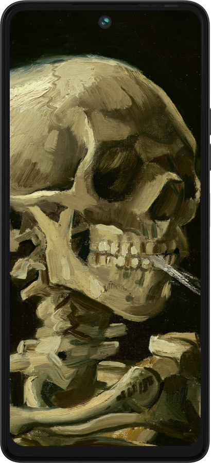 Силіконовий чехол Вінсент Ван Гог. Череп для Tecno Pova 5 - 5544u-3139 изображение 