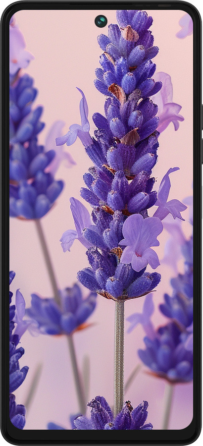 Силіконовий чехол Лаванда для Tecno Pova 5 - 6037u-3139 изображение 