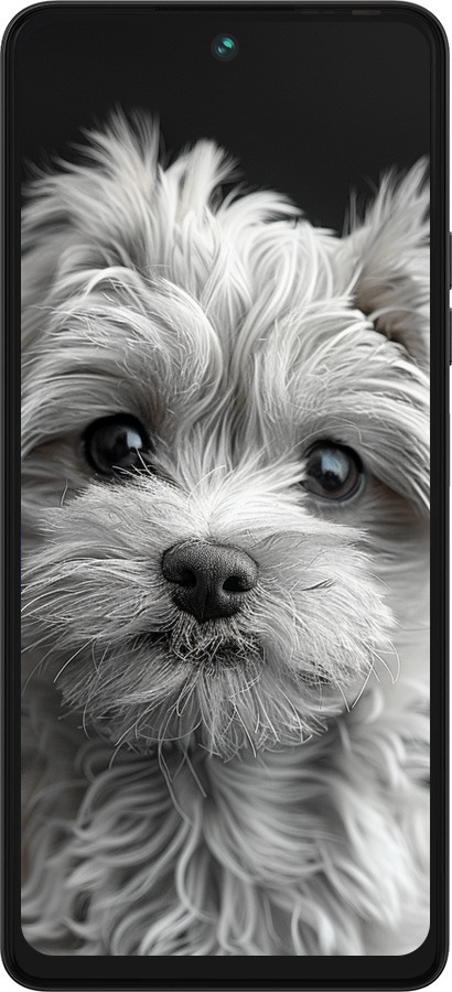 Силиконовый чехол Мальтипу на чорном фоне для Tecno Pova 5 - 6156u-3139 изображение 