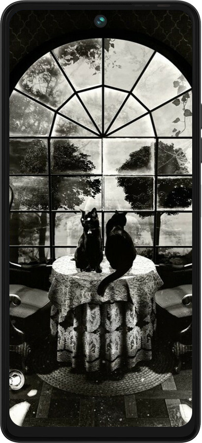 Силиконовый чехол Череп и коты для Tecno Pova 5 - 6432u-3139 изображение 