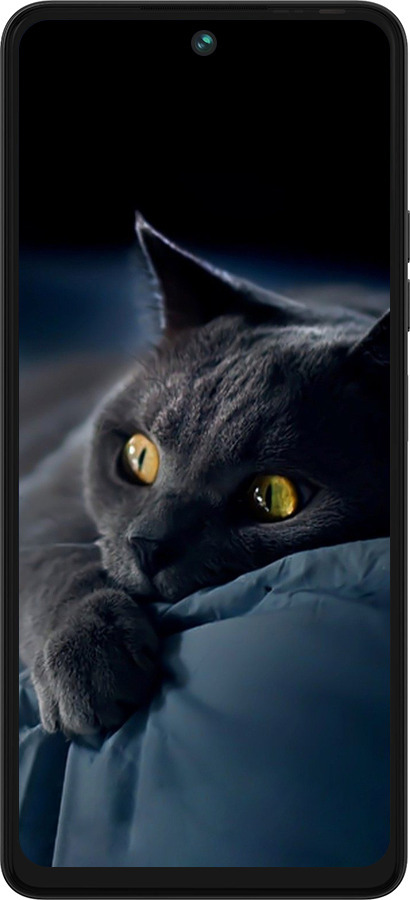 Силіконовий чехол Димчастий кіт для Tecno Pova 5 - 825u-3139 изображение 