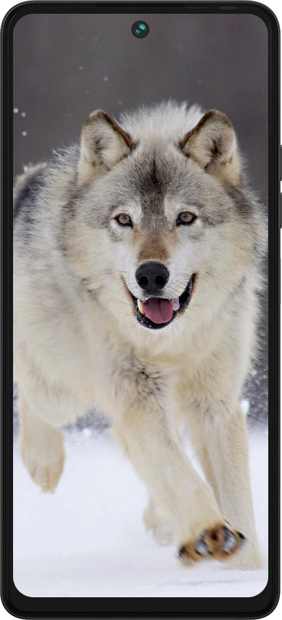 Силиконовый чехол Бегущий волк для Tecno Pova 5 - 826u-3139 изображение 