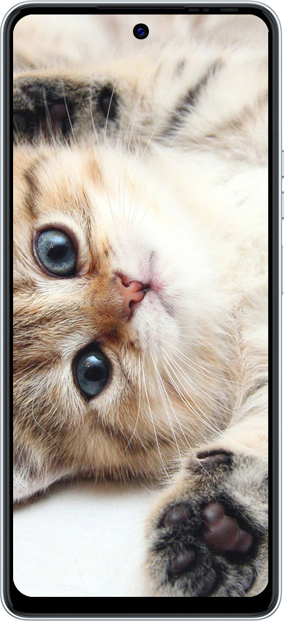 TPU чехол Котик для Tecno POVA 6 Neo - 6024b-3753 изображение 