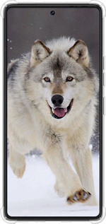 Силикон с усиленными углами чехол Бегущий волк для Tecno Pova 6 Pro - 826sp-3689 изображение 