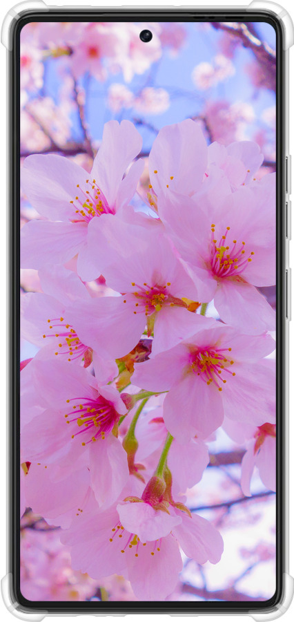 Силикон с усиленными углами чехол Сакура для Tecno Pova 6 Pro - 6029sp-3689 изображение 