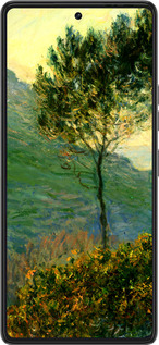 Силиконовый чехол Клод Моне для Tecno Pova 6 Pro - 1193u-3689 изображение 