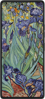 Силиконовый чехол Винсент Ван Гог. Ирисы для Tecno Pova 6 Pro - 161u-3689 изображение 