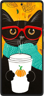 Силиконовый чехол Осенний кот для Tecno Pova 6 Pro - 4026u-3689 изображение 