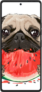 Силиконовый чехол Мопс и арбуз для Tecno Pova 6 Pro - 4665u-3689 изображение 