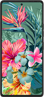 Силиконовый чехол Тропические цветы v1 для Tecno Pova 6 Pro - 4667u-3689 изображение 