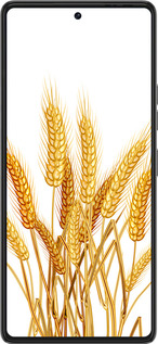 Силиконовый чехол Колоски пшеници для Tecno Pova 6 Pro - 5866u-3689 изображение 