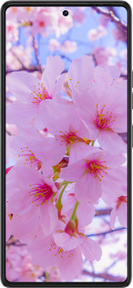 Силиконовый чехол Сакура для Tecno Pova 6 Pro - 6029u-3689 изображение 