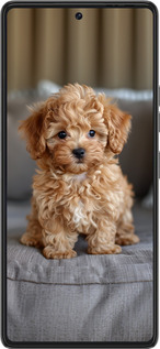 Силиконовый чехол Mini-maltipoo для Tecno Pova 6 Pro - 6158u-3689 изображение 