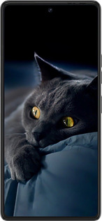 Силіконовий чехол Димчастий кіт для Tecno Pova 6 Pro - 825u-3689 изображение 