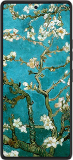 Силиконовый чехол Винсент Ван Гог. Сакура для Tecno Pova 6 Pro - 841u-3689 изображение 