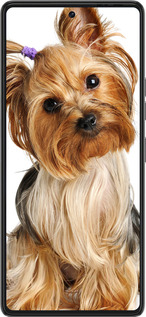 Силиконовый чехол Йоркширский терьер с хвостиком для Tecno Pova 6 Pro - 930u-3689 изображение 