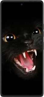 Силиконовый чехол Чёрная кошка для Tecno Pova 6 Pro - 932u-3689 изображение 