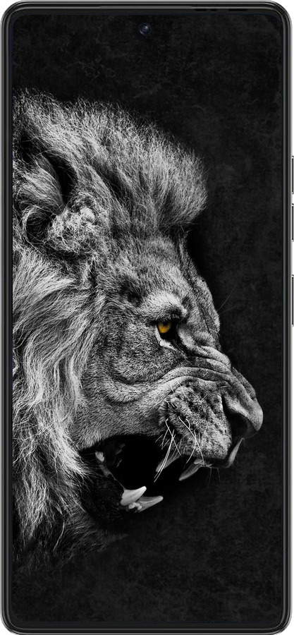 Силиконовый чехол Лев для Tecno Pova 6 Pro - 1080u-3689 изображение 