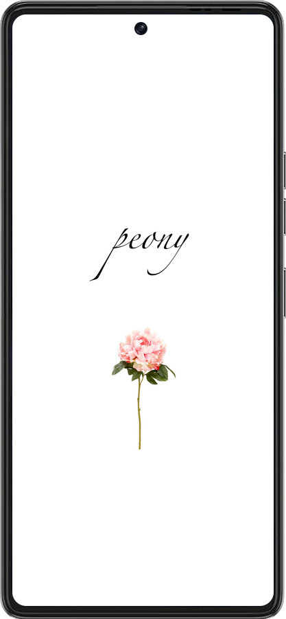 Силиконовый чехол Пион для Tecno Pova 6 Pro - 4366u-3689 изображение 