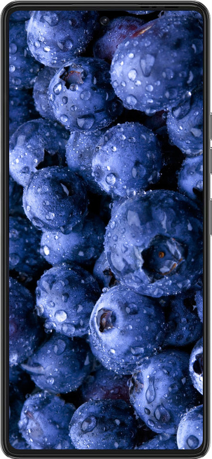 Силиконовый чехол Голубика для Tecno Pova 6 Pro - 4459u-3689 изображение 