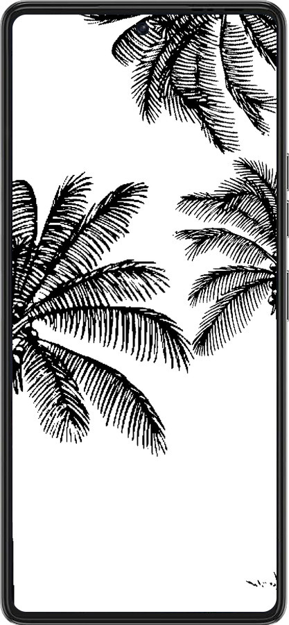 Силиконовый чехол Пальмы1 для Tecno Pova 6 Pro - 4634u-3689 изображение 