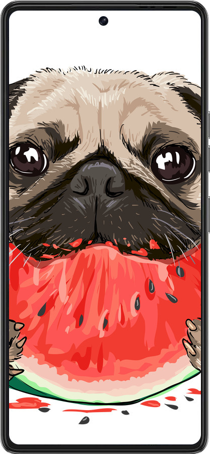 Силиконовый чехол Мопс и арбуз для Tecno Pova 6 Pro - 4665u-3689 изображение 