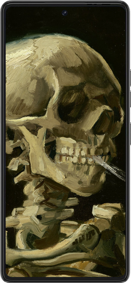 Силиконовый чехол Винсент Ван Гог. Череп для Tecno Pova 6 Pro - 5544u-3689 изображение 