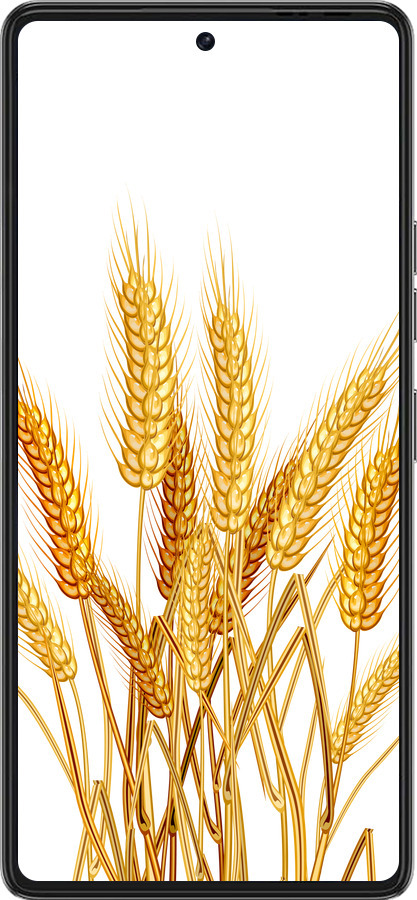 Силиконовый чехол Колоски пшеници для Tecno Pova 6 Pro - 5866u-3689 изображение 