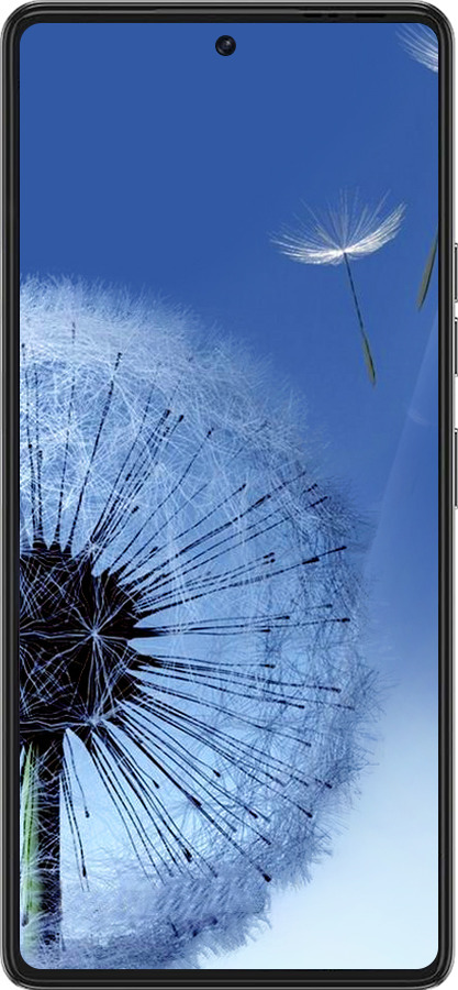 Силиконовый чехол Одуванчик для Tecno Pova 6 Pro - 6005u-3689 изображение 