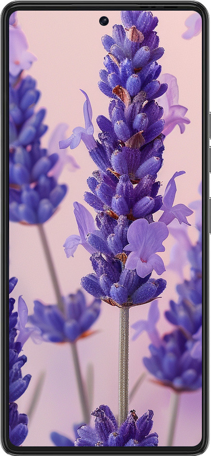 Силиконовый чехол Лаванда для Tecno Pova 6 Pro - 6037u-3689 изображение 