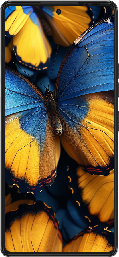 Силиконовый чехол Желто-голубые бабочки для Tecno Pova 6 Pro - 6046u-3689 изображение 