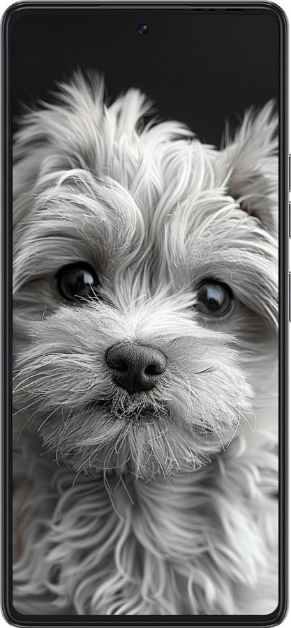 Силиконовый чехол Мальтипу на чорном фоне для Tecno Pova 6 Pro - 6156u-3689 изображение 